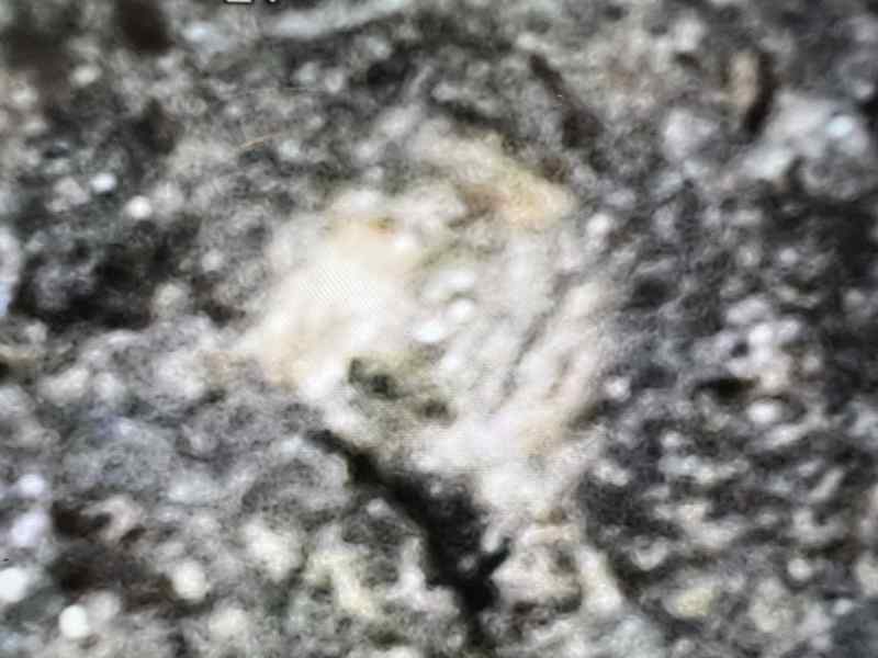 Diffracted.JPG
